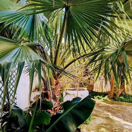 Cozy 3 Br - Close To