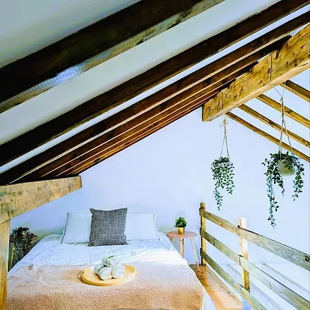 Cozy 3 Br - Close To *