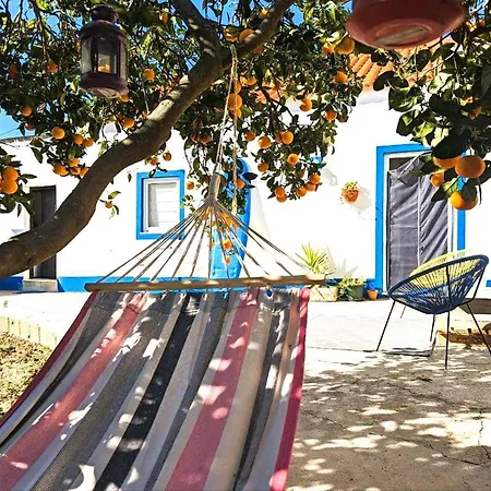 Cozy 3 Br - Close To