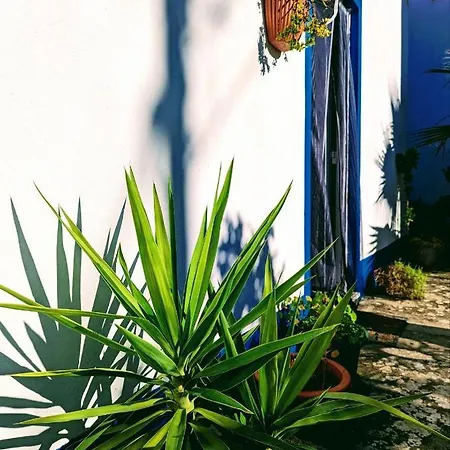 Cozy 3 Bedroom - Close To